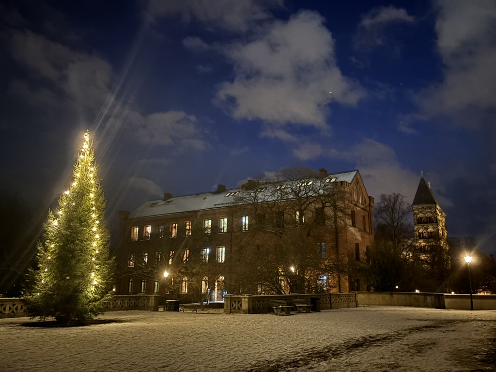 雪夜里的圣诞树与建筑